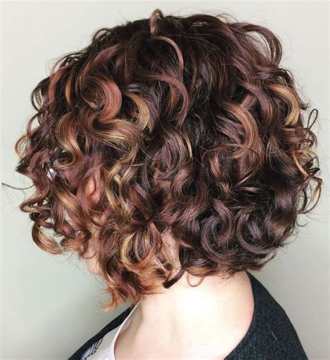 short curly hair with highlights|More.